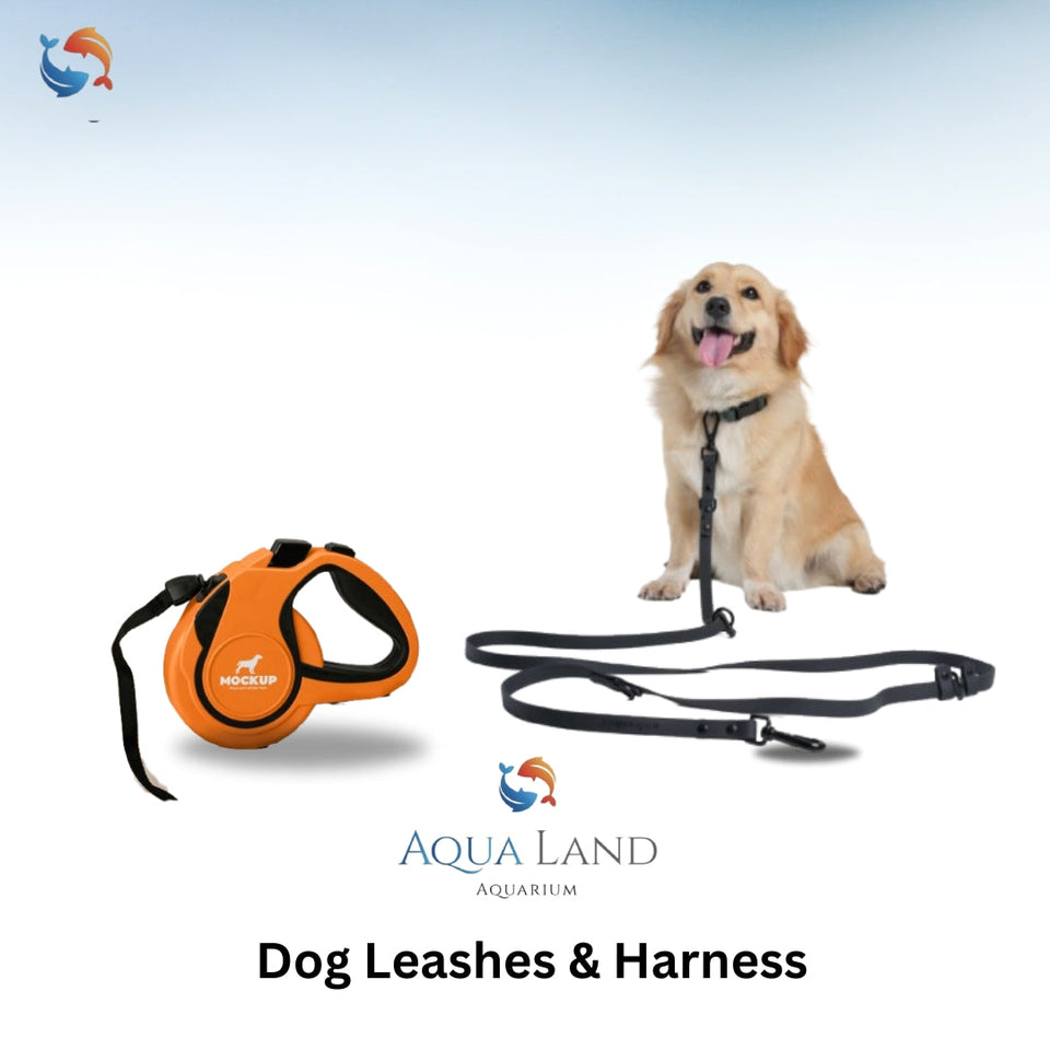 Buy Dog Leashes & Harnesses in Dubai | Buy Pet Accessories Online in Dubai