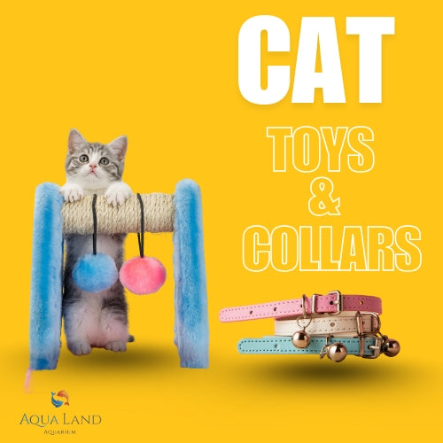 Best Cat Toys & Cat Collars in Dubai, UAE | Shop Now