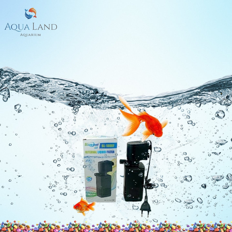 Best Aquarium Filters and Filter Media in Dubai (UAE) - Buy Online