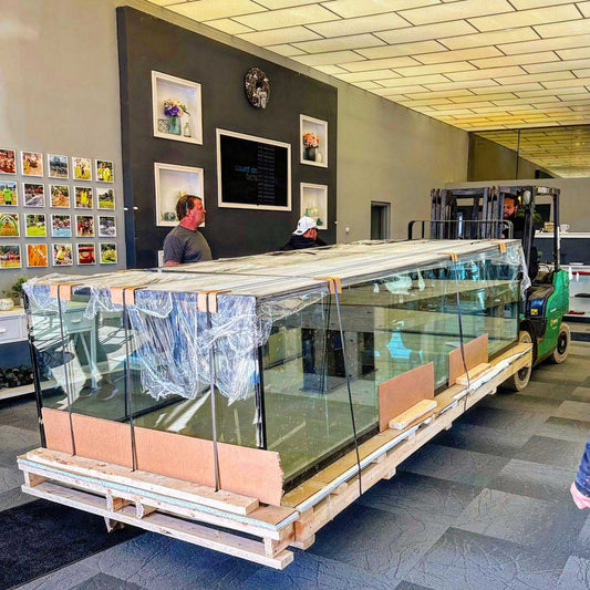 Aquarium installation 1