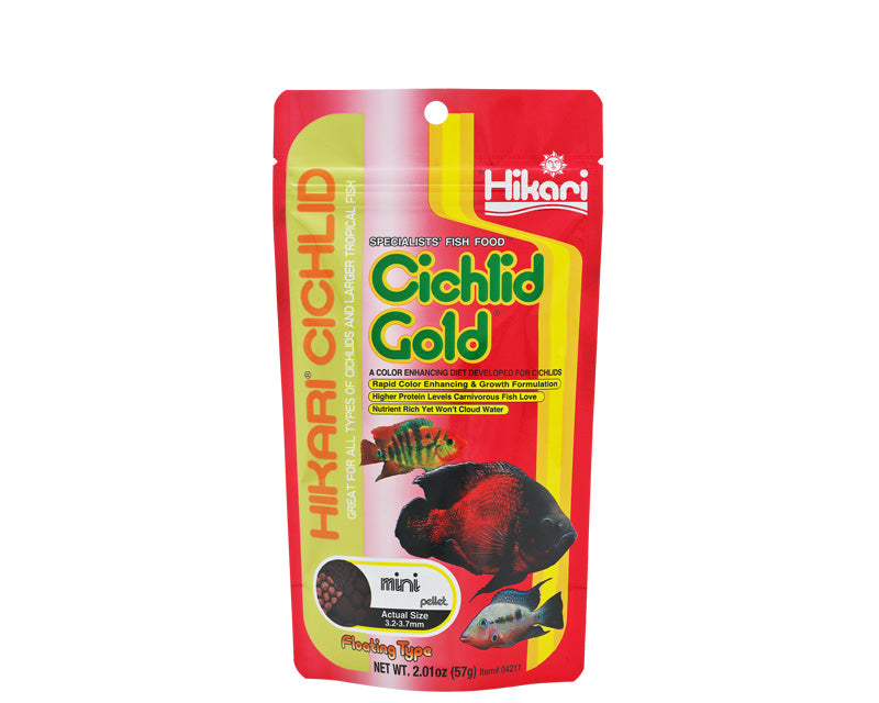Hikari Cichlid Cichlid Gold