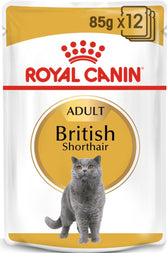 Royal Canin Feline Breed Nutrition British Shorthair (WET FOOD - Pouches)