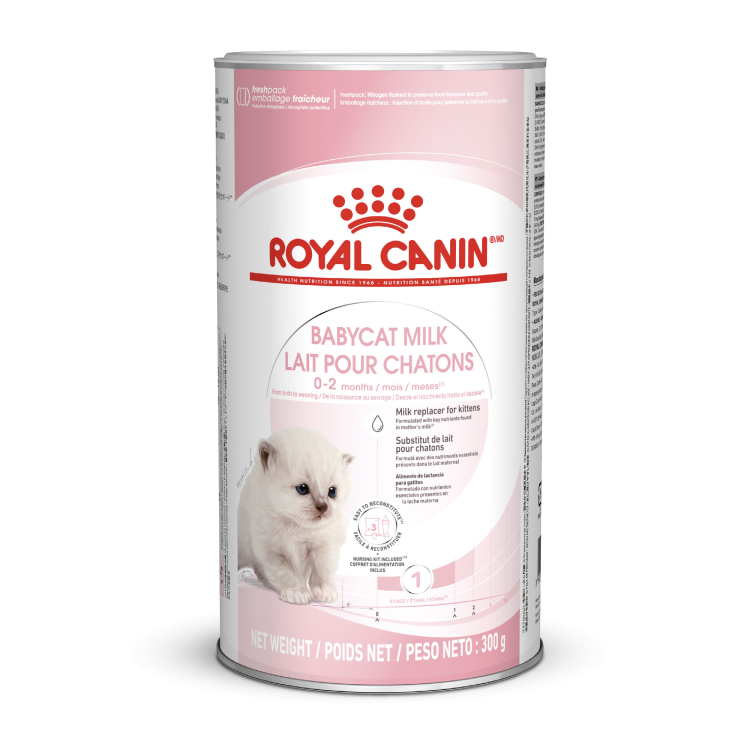Royal Canin Feline Health Nutrition Babycat Milk