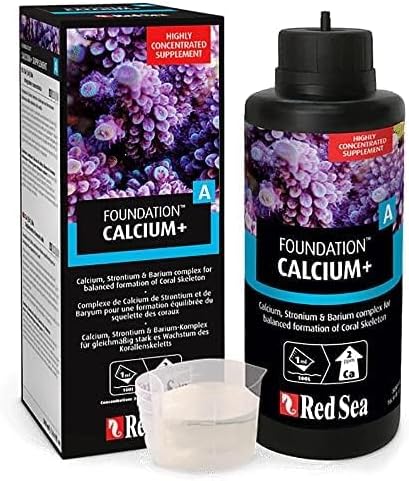 Red Sea Foundation A Calcium+