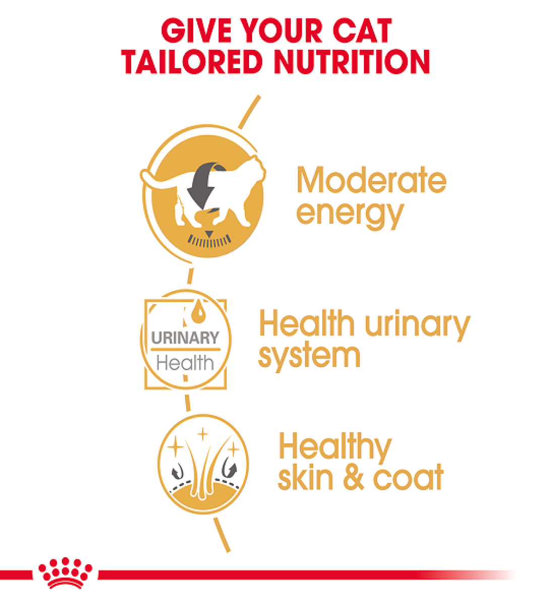 Royal Canin Feline Breed Nutrition British Shorthair (WET FOOD - Pouches)