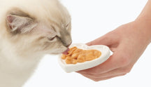 Catit Creamy Lickable Cat Treats - Chicken & Lamb 4 tubes