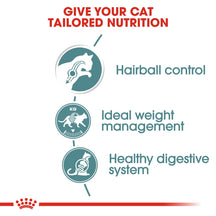 Royal Canin Feline Care Nutrition Hairball Gravy (WET FOOD - Pouches)