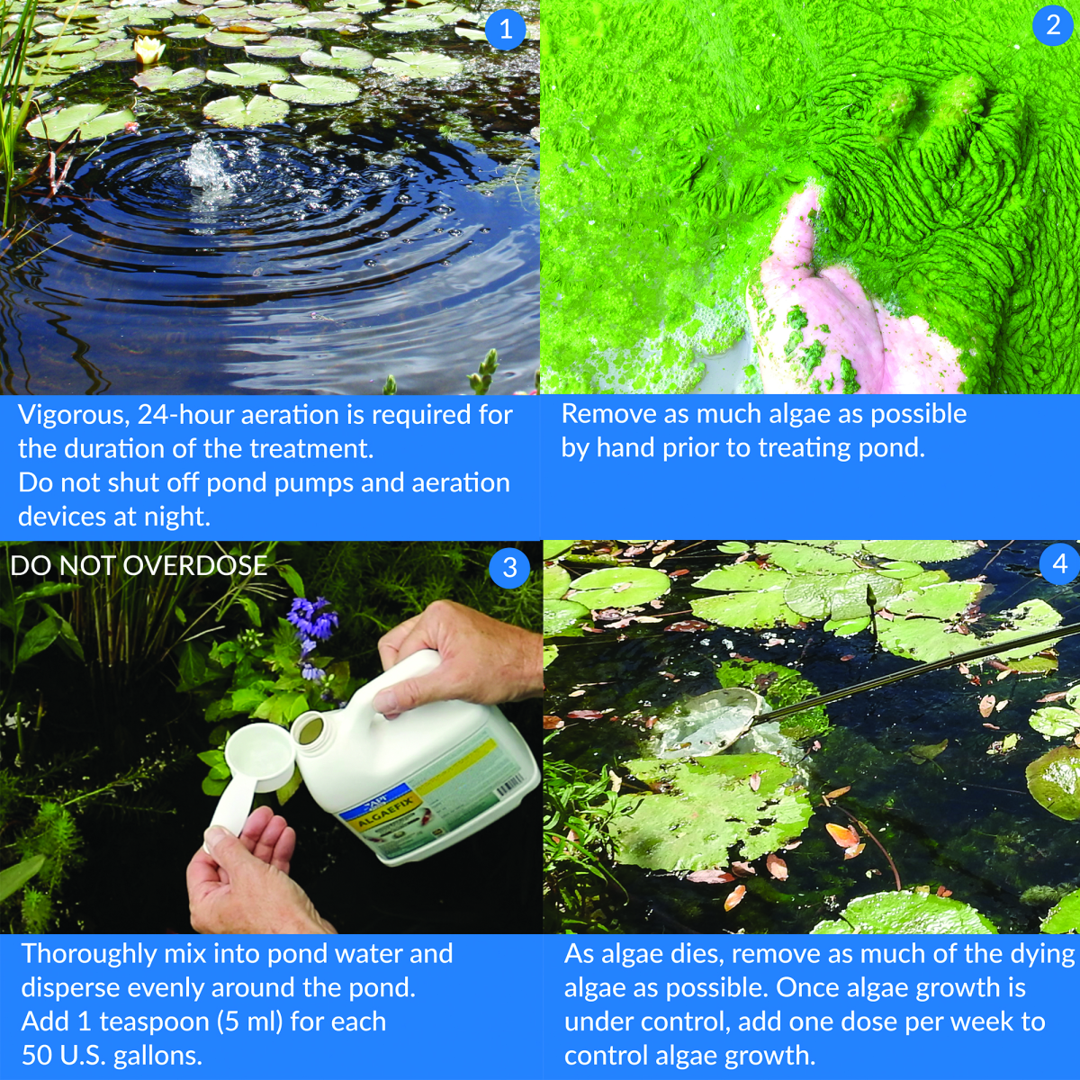API POND ALGAEFIX