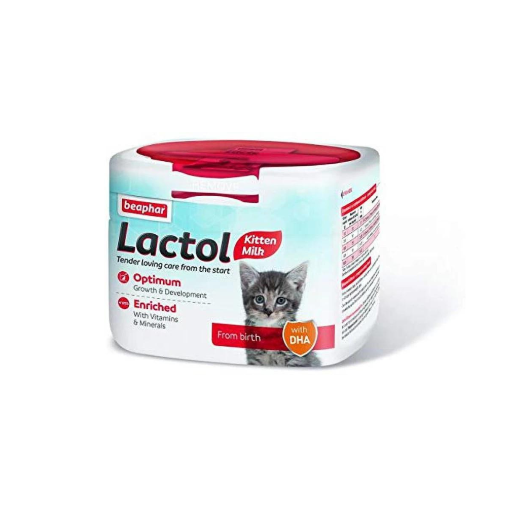 Lactol Kitten