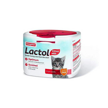Lactol Kitten
