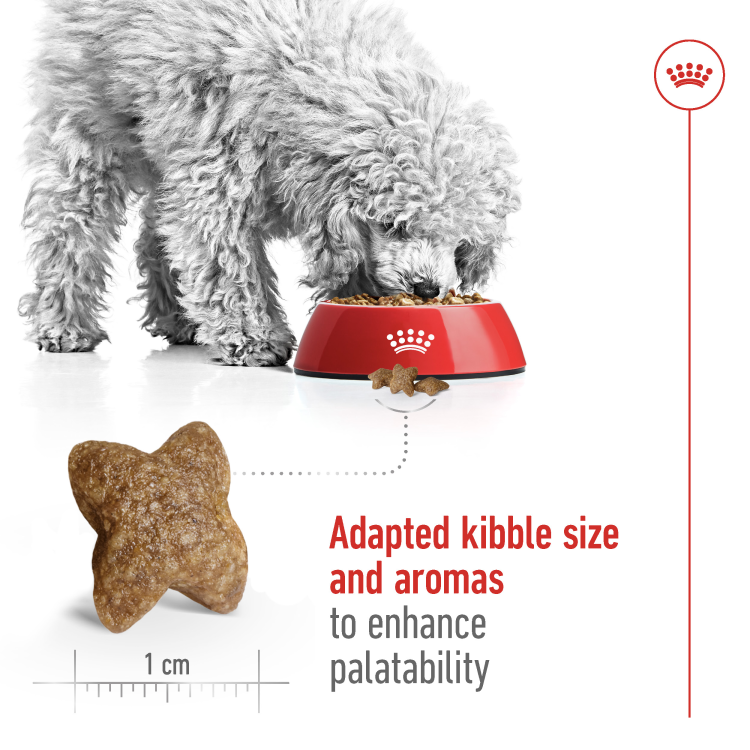 Royal Canin Mini Adult