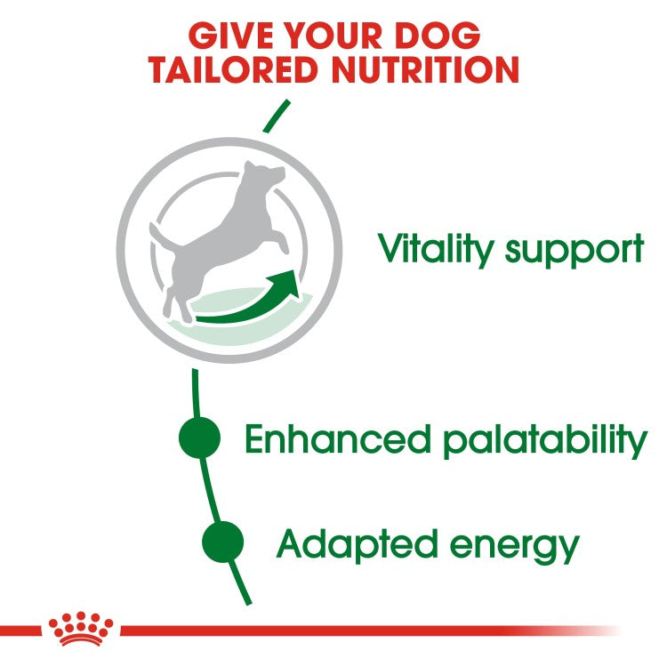 Royal Canin Mini Ageing 8+