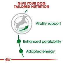 Royal Canin Mini Ageing 8+