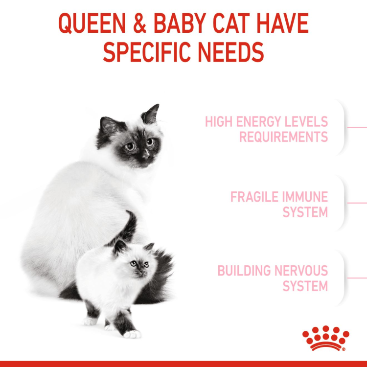 Royal Canin Feline Health Nutrition Mother & Babycat