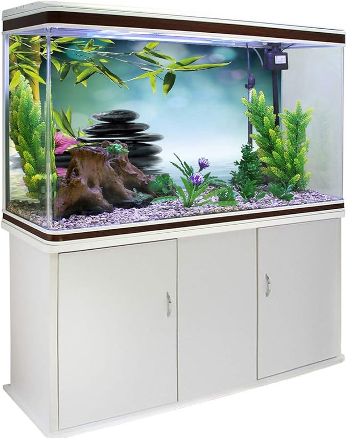 Perfect Aquarium with stand