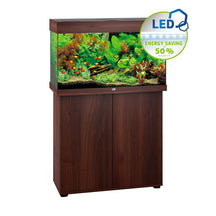 Juwel Rio 125 LED Aquarium in Dubai – Buy LED Fish Tank Online UAE