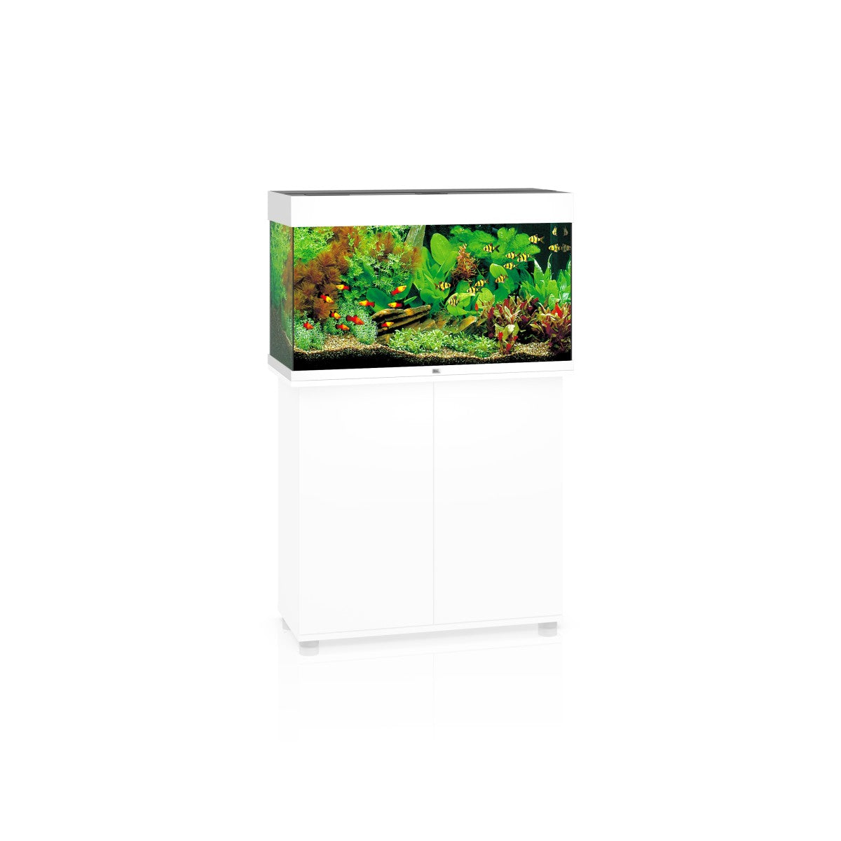 Juwel Rio 125 LED Aquarium White Buy Premium Fish Tank in Dubai