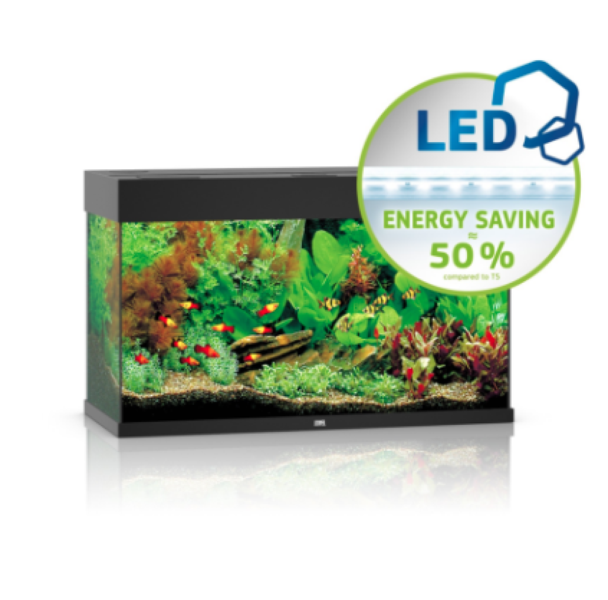 Juwel Rio 125 LED Aquarium with Cabinet Modern Aquarium Design Dubai