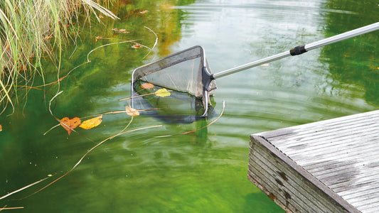 Pond maintenance and installation 2