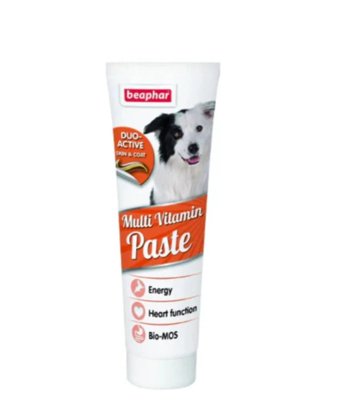 Duo Active Paste Multivitamin Dog